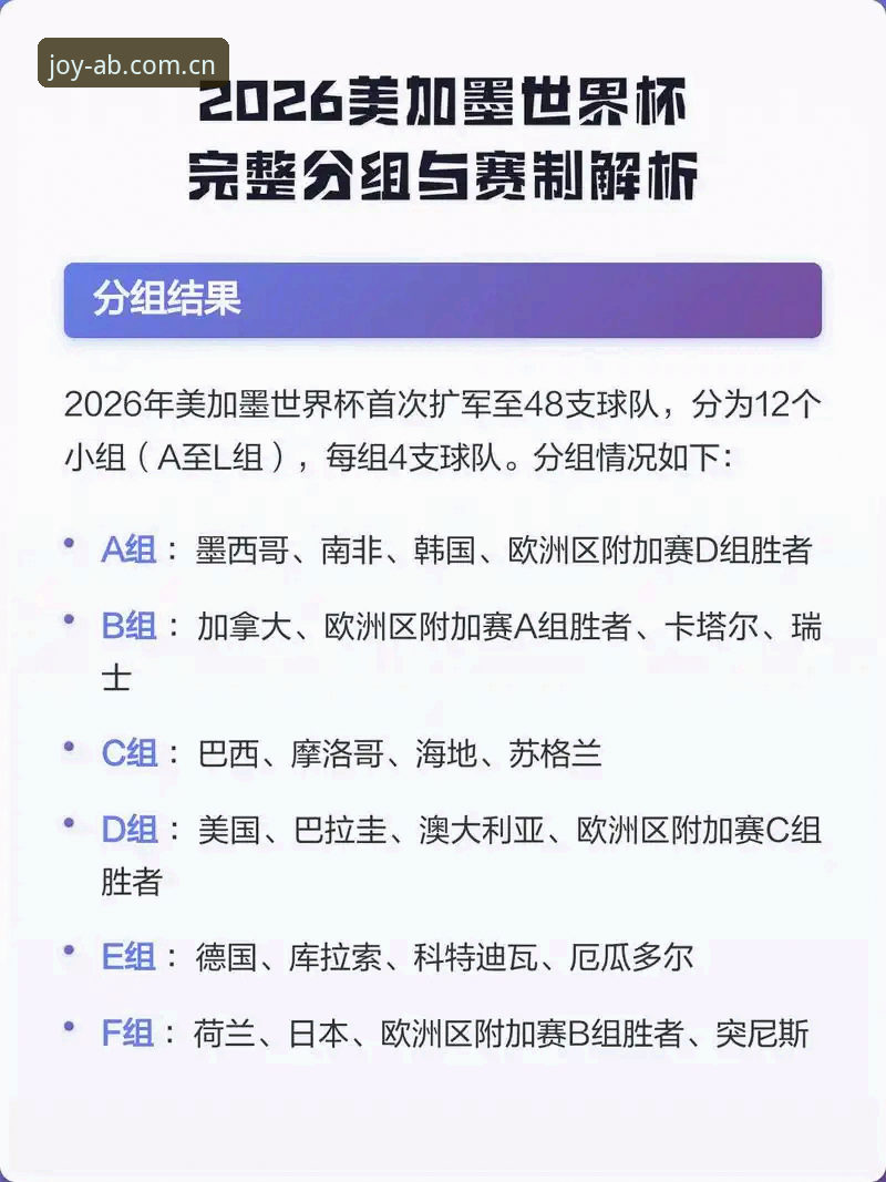 2026世界杯观赛受阻深度解析：签证战争与地缘政治如何扼杀球迷热情？